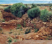 Final Report for Shields Pueblo Final Report for Shields Pueblo